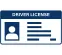driver license icon